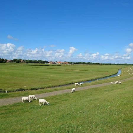 De Oostkamer; Eiland Appartement Naast Natuurgebied Boschplaat Oosterend  Экстерьер фото