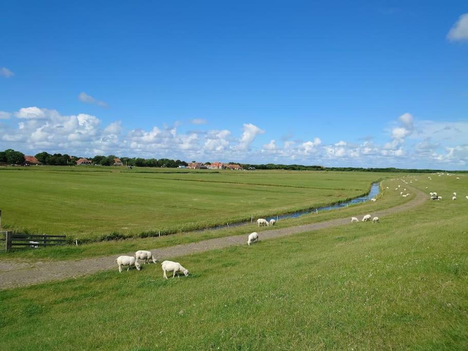 De Oostkamer; Eiland Appartement Naast Natuurgebied Boschplaat Oosterend  Экстерьер фото