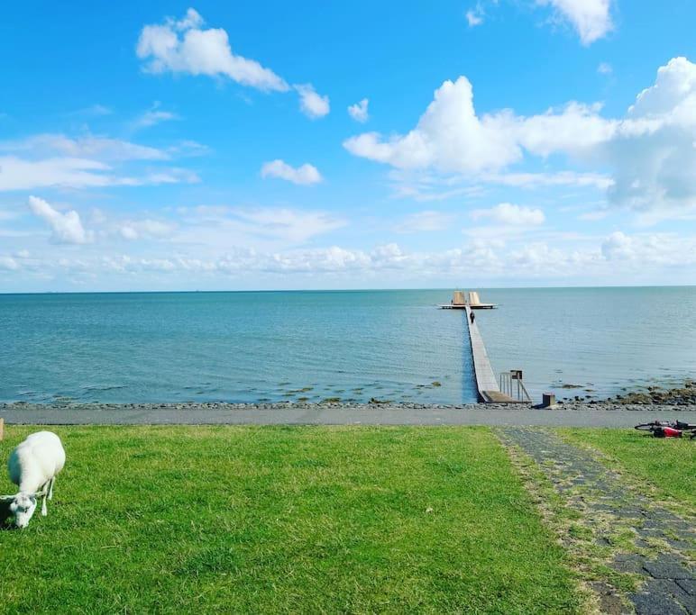 De Oostkamer; Eiland Appartement Naast Natuurgebied Boschplaat Oosterend  Экстерьер фото